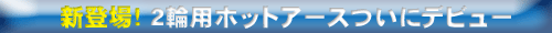 �z�b�g�A�[�X�Q�֗p